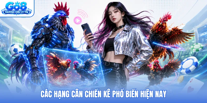 Các hạng cân chiến kê phổ biến hiện nay
