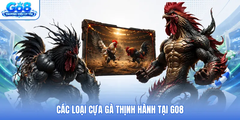 Các loại cựa gà thịnh hành tại GO8