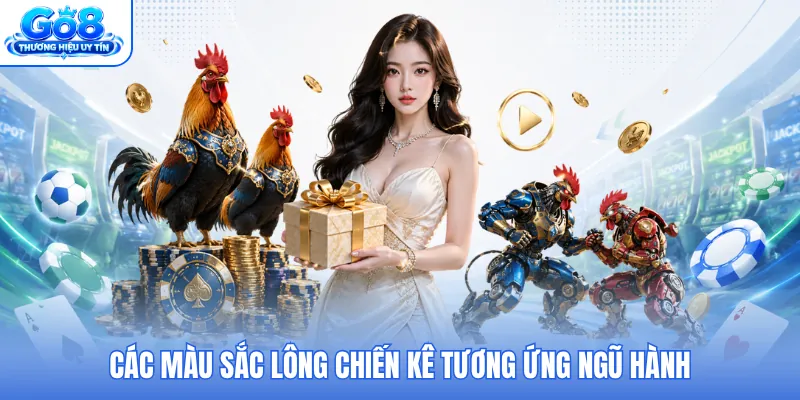 Các màu sắc lông chiến kê tương ứng ngũ hành