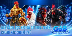 GO8 Cách Đọc Kèo Đá Gà Trực Tuyến - Chuẩn Xác Cho Kê Thủ