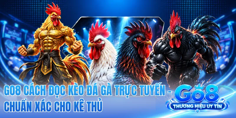 GO8 Cách Đọc Kèo Đá Gà Trực Tuyến - Chuẩn Xác Cho Kê Thủ