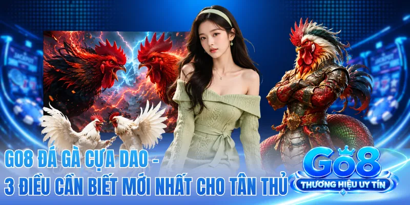 GO8 Đá Gà Cựa Dao - 3 Điều Cần Biết Mới Nhất Cho Tân Thủ