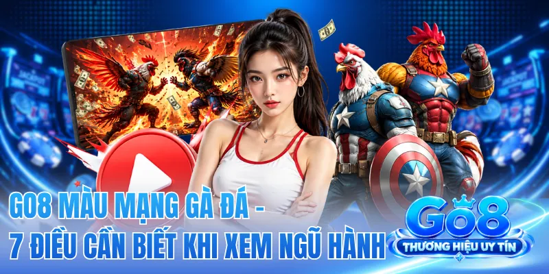 GO8 Màu Mạng Gà Đá - 7 Điều Cần Biết Khi Xem Ngũ Hành