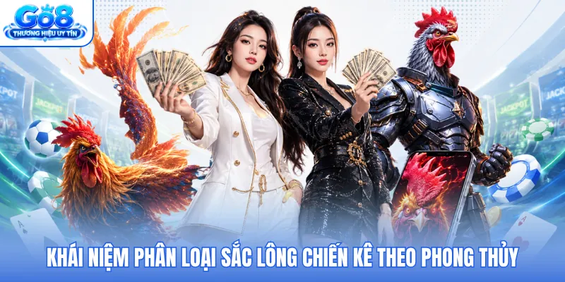 Khái niệm phân loại sắc lông chiến kê theo phong thủy